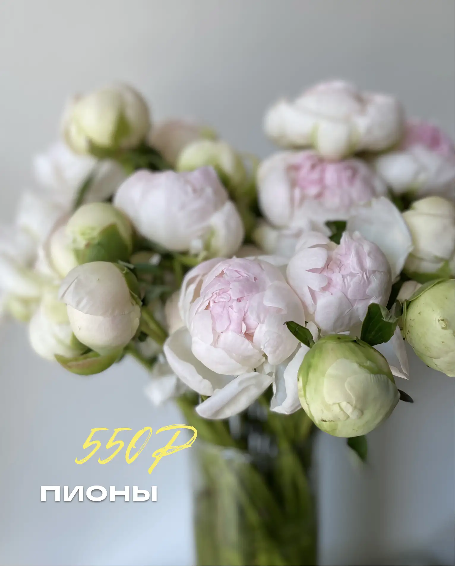 [СВЕЖАЯ ПОСТАВКА]

Заказ можно оформить через бот @id366605167228_bot

Ежедневно с вами
📍 Никитинск