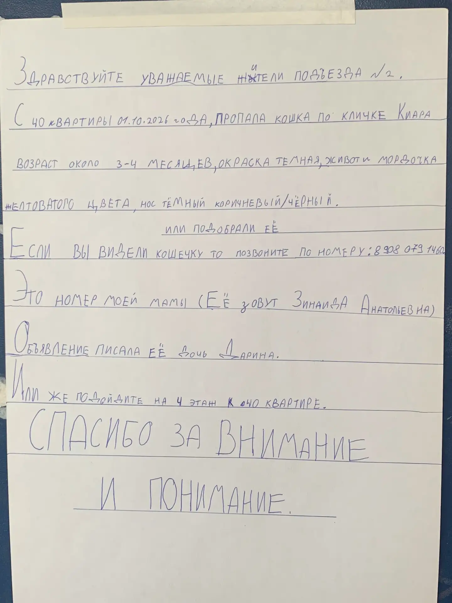 На ней был ошейник с колокольчиком, ребенок очень расстроился 😥