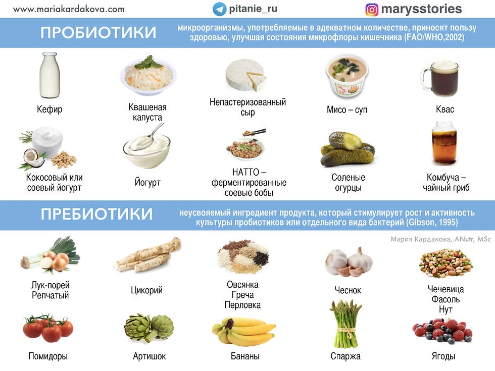Что полезно для разнообразия микрофлоры кишки: