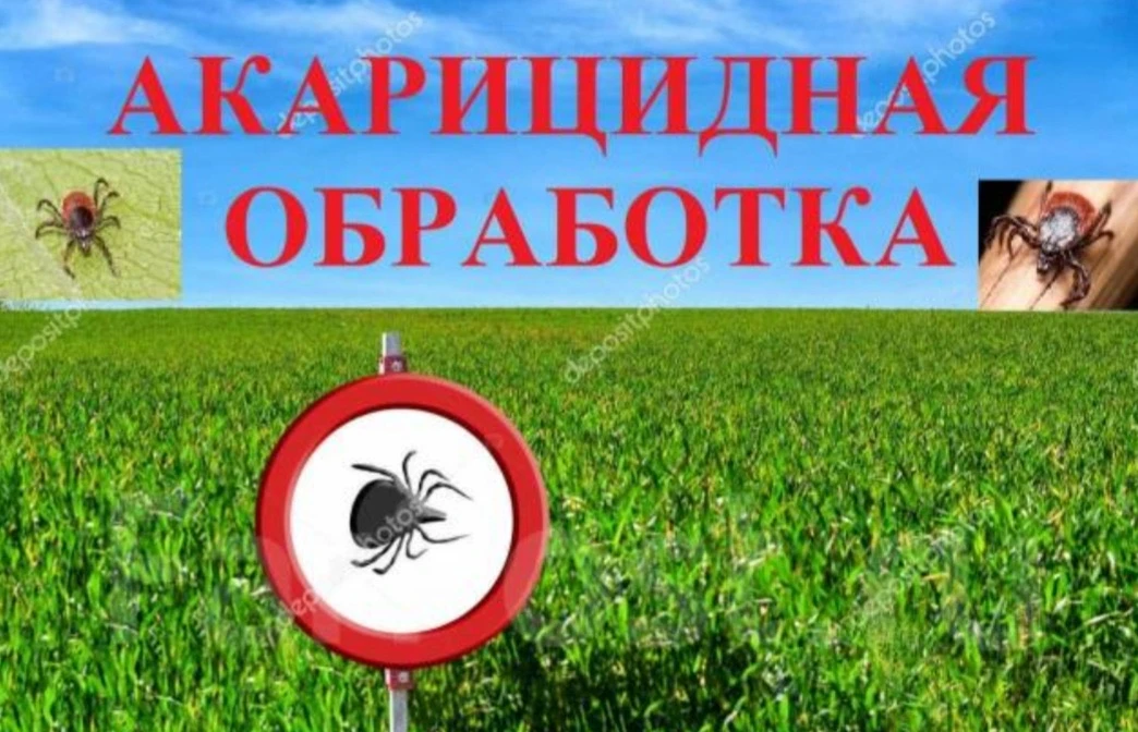 29.05. Во второй половине дня будет произведена акарицидная обработка всех участков. Пр...
