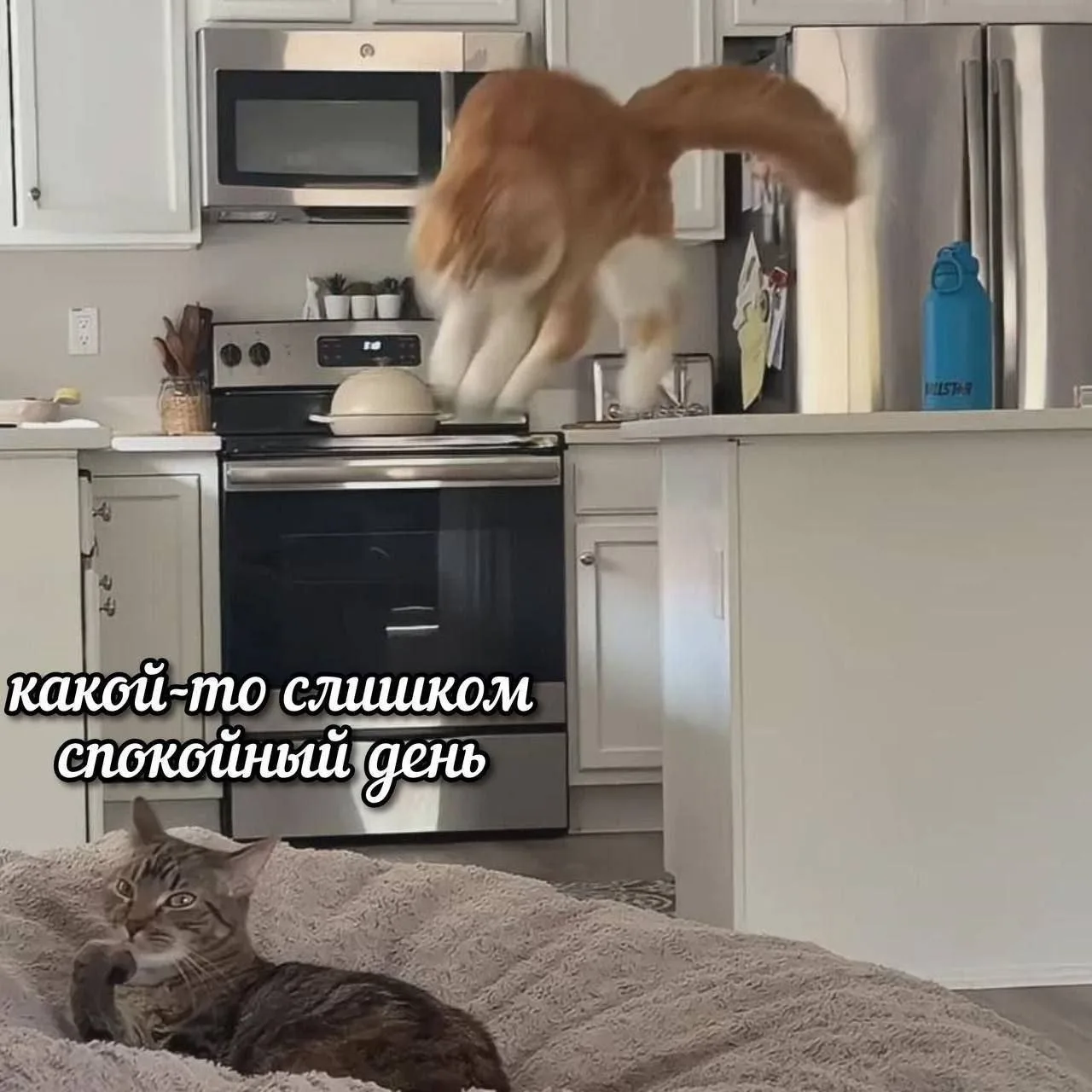 Вам не кажется?

Подписывайся