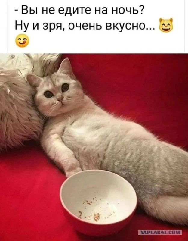🔹 Крайне рекомендую 😄
