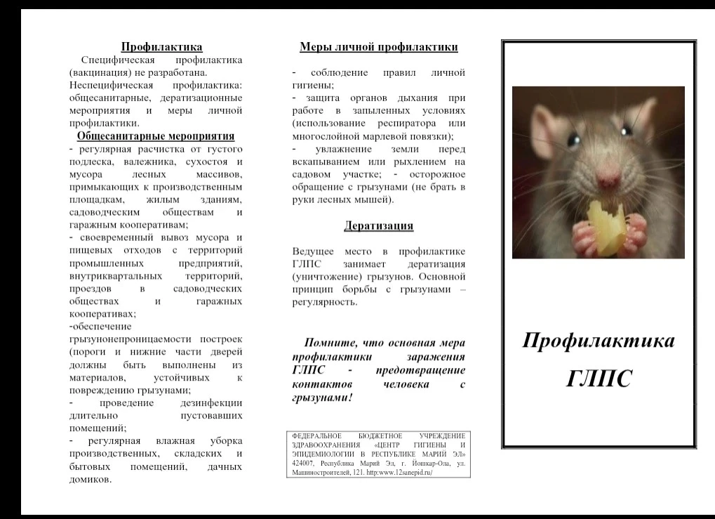 Добрый вечер.
Вашему вниманию предлагаем памятки  по профилактике ГЛПС‼️