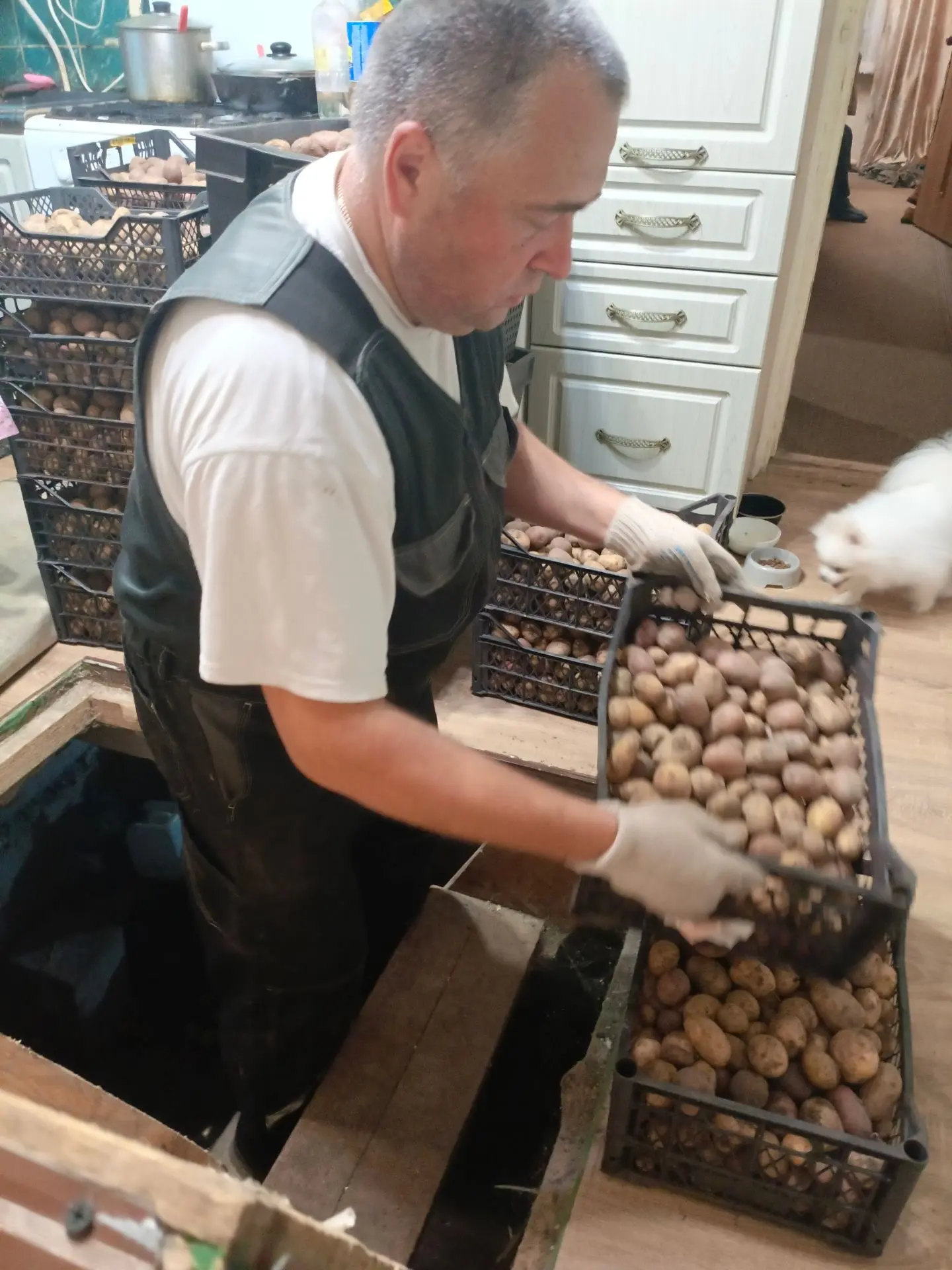 Спускаем картошку в погреб 🥔