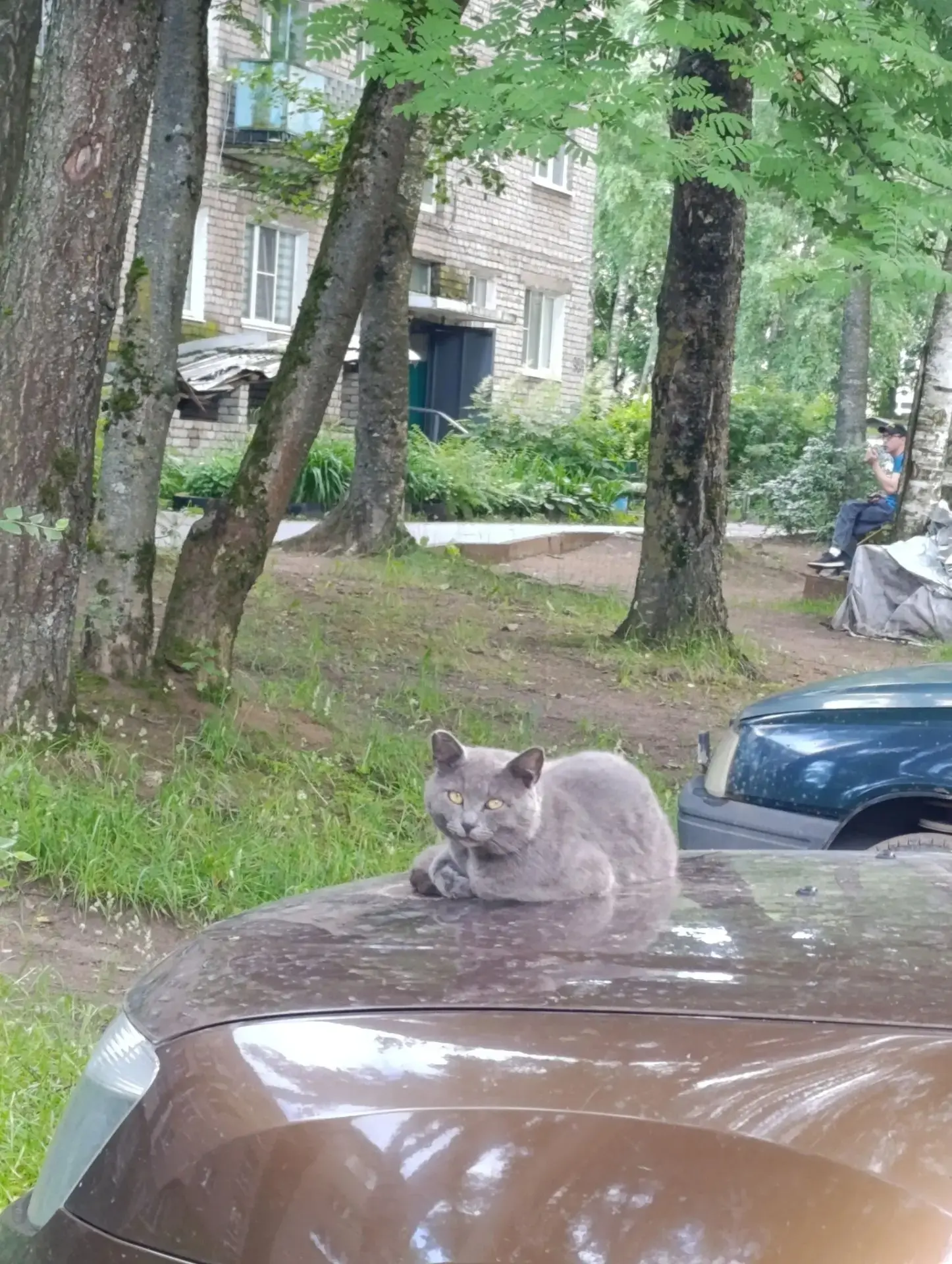 #Вышневолоцкие 🐱

📸 Anzhelika