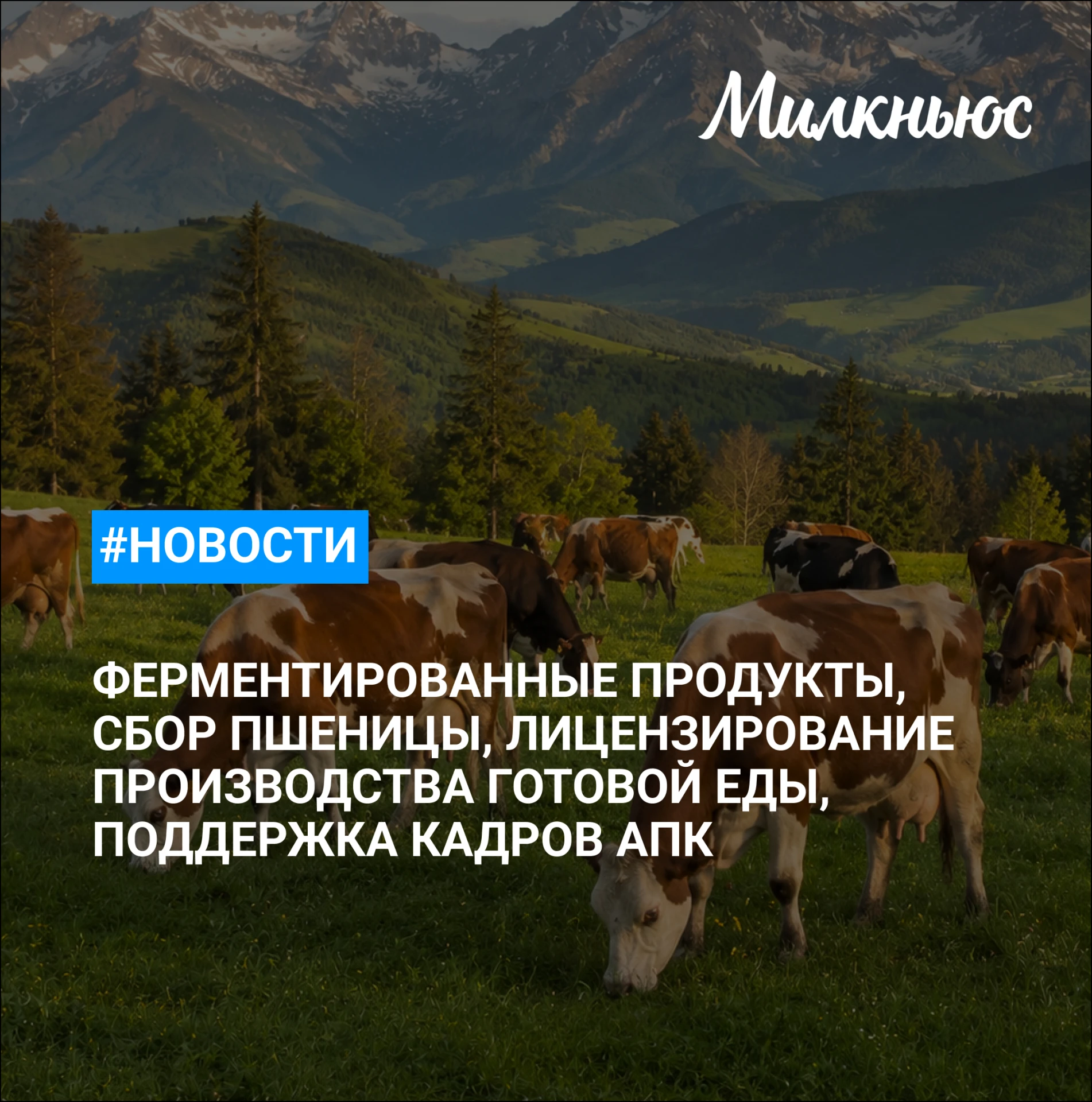 🐮 X5: российский рынок готовой еды может прийти к лицензированию производства