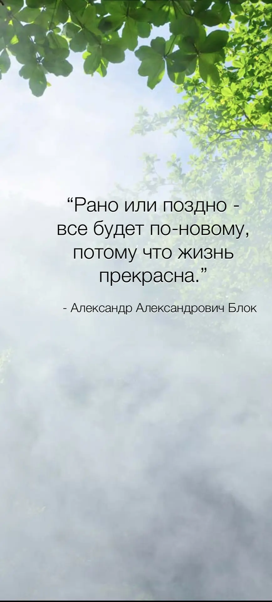 #цитатадня