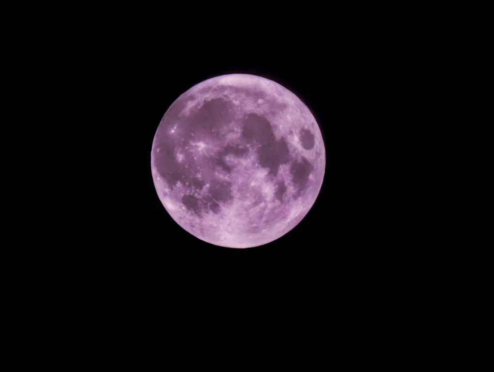 💗Сегодня ночью за окном показывают что-то красивое! ☄️ 

Розовая луна взошла — это апрельское полно
