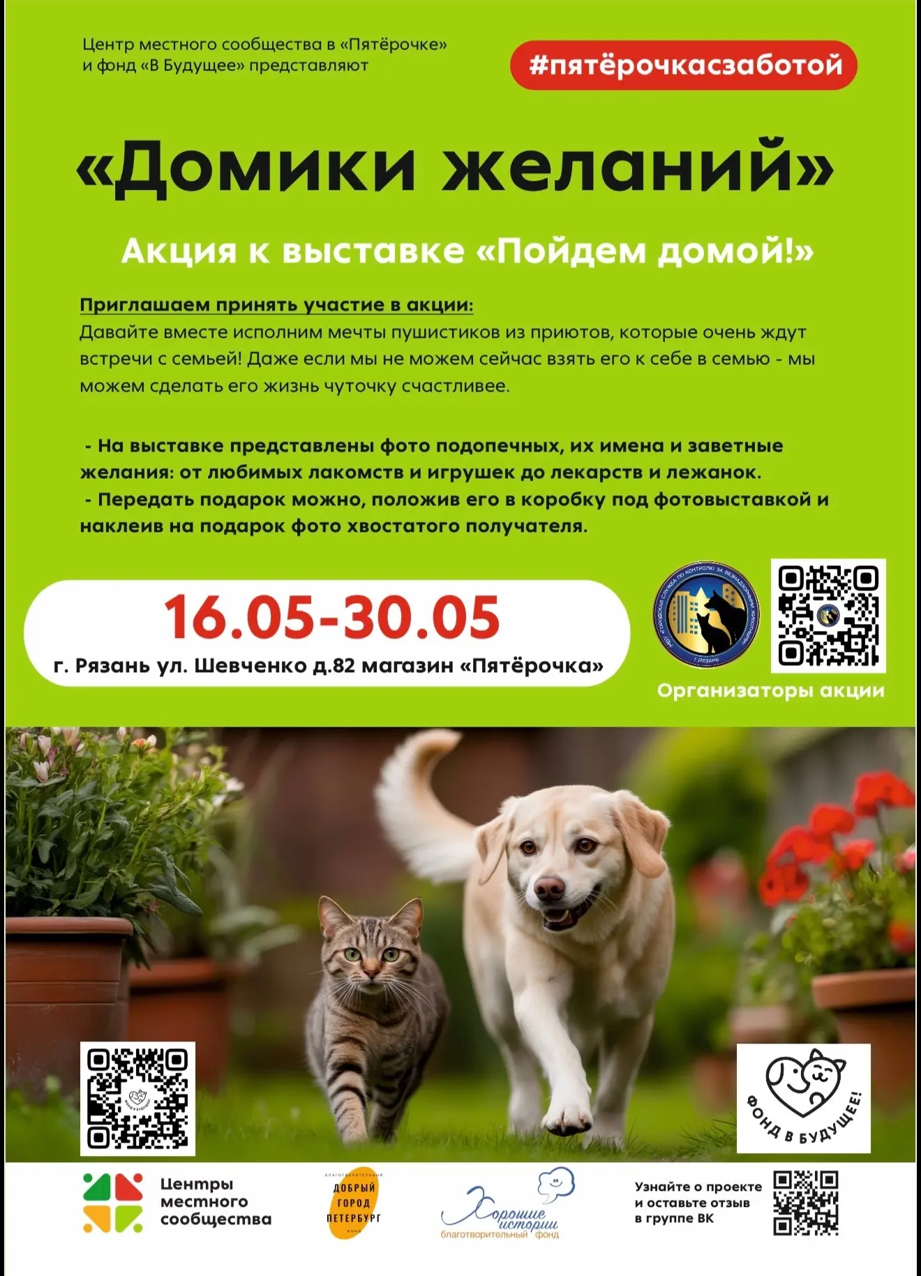 Сегодня наши волонтёры снова помогают животным из приютов 💔🐶