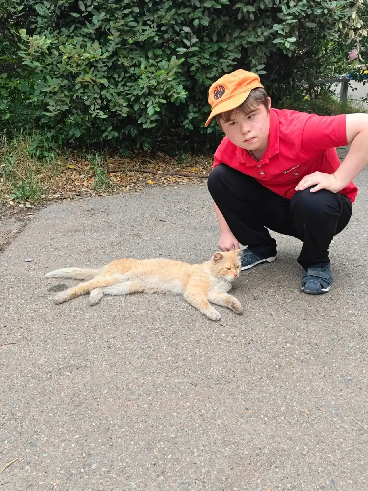 Андрей Острякин занимается добрыми делами: кормит дворовых котов.