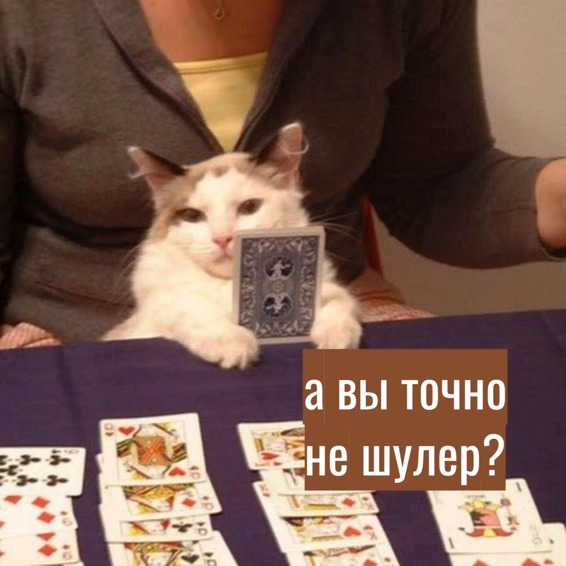 Житель Зеленоградска разбил окно в ресторане, украл деньги и проиграл их в казино. 

Фортуна – женщи