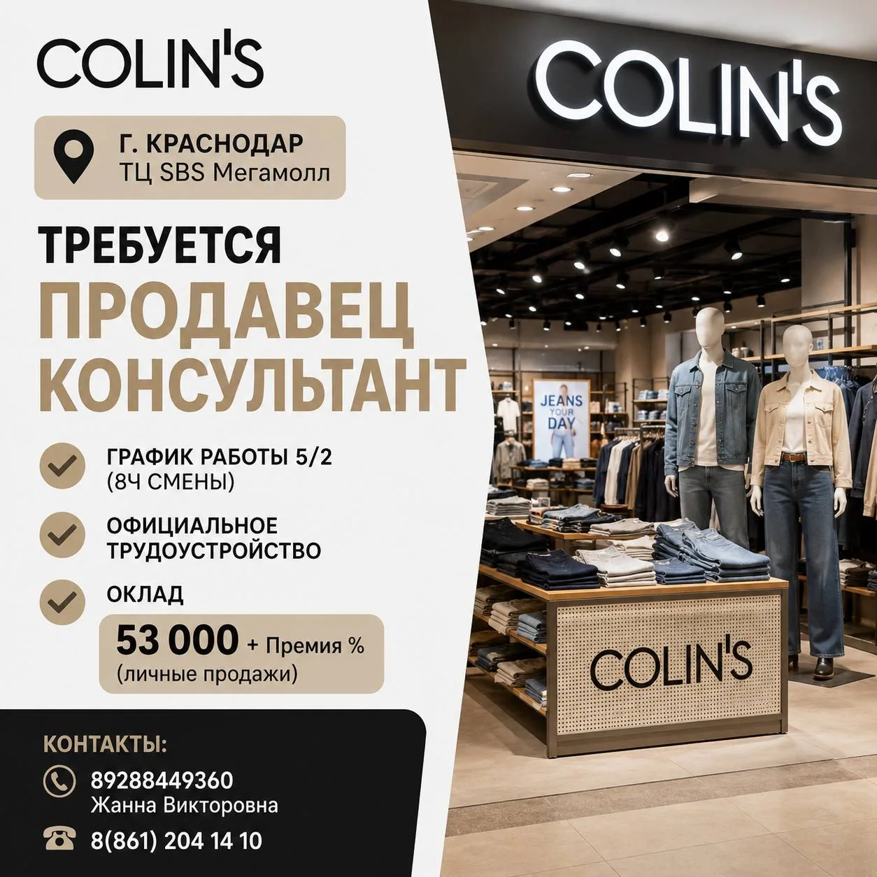 Контакты :