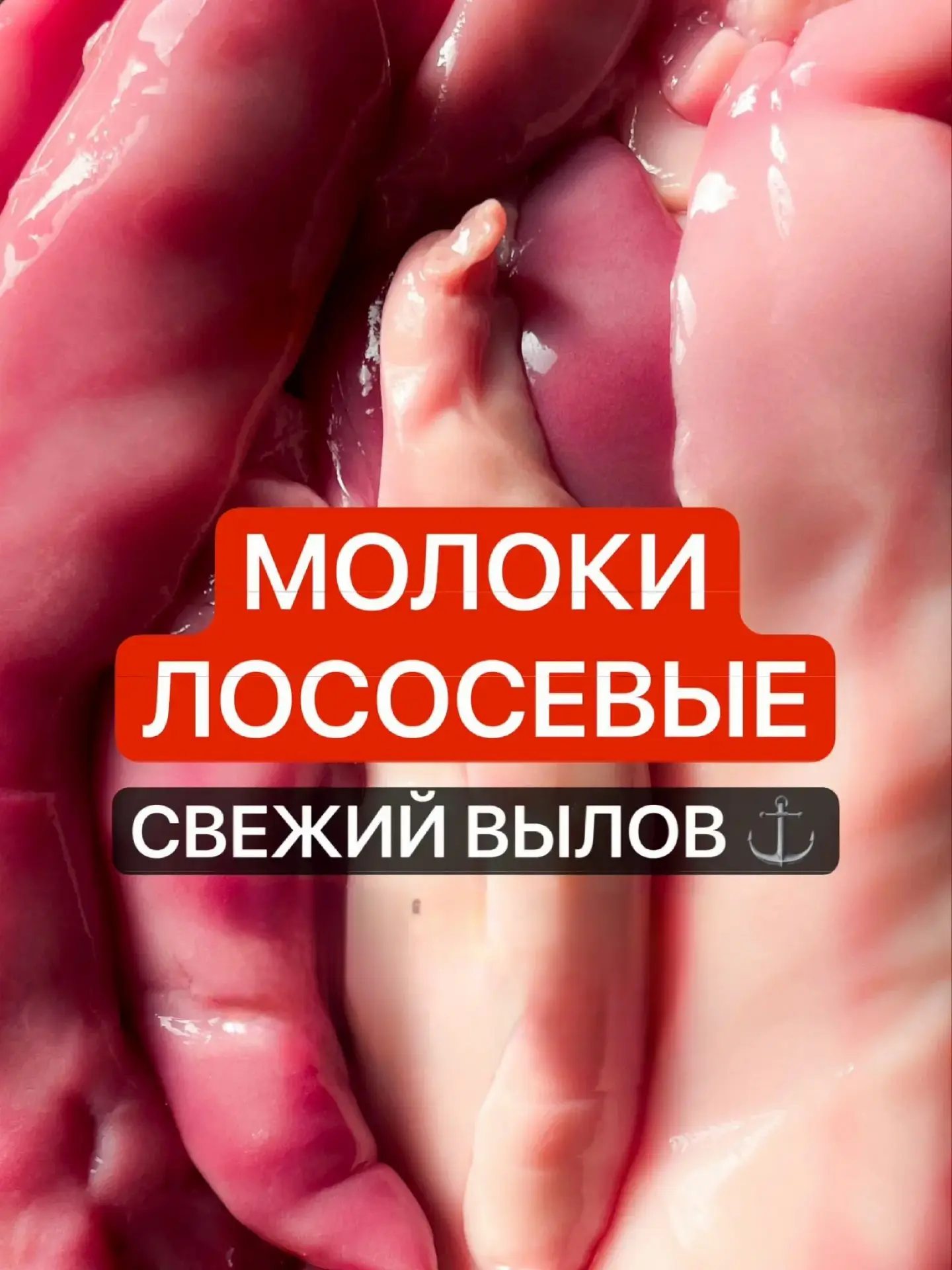 📢📢📢МОЛОКИ ЛОСОСЕВЫЕ НА АКЦИИ❗️❗️❗️
