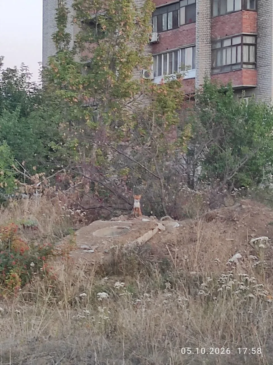 Алчевск