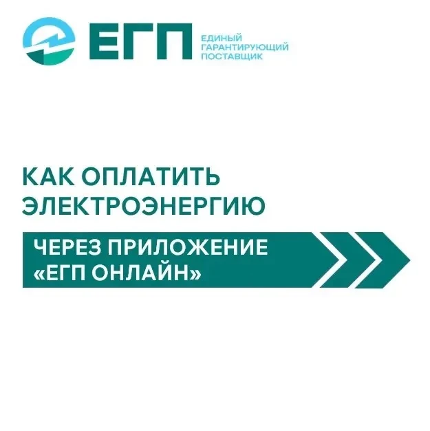 Оплатить электроэнергию теперь можно в приложении «ЕГП Онлайн»