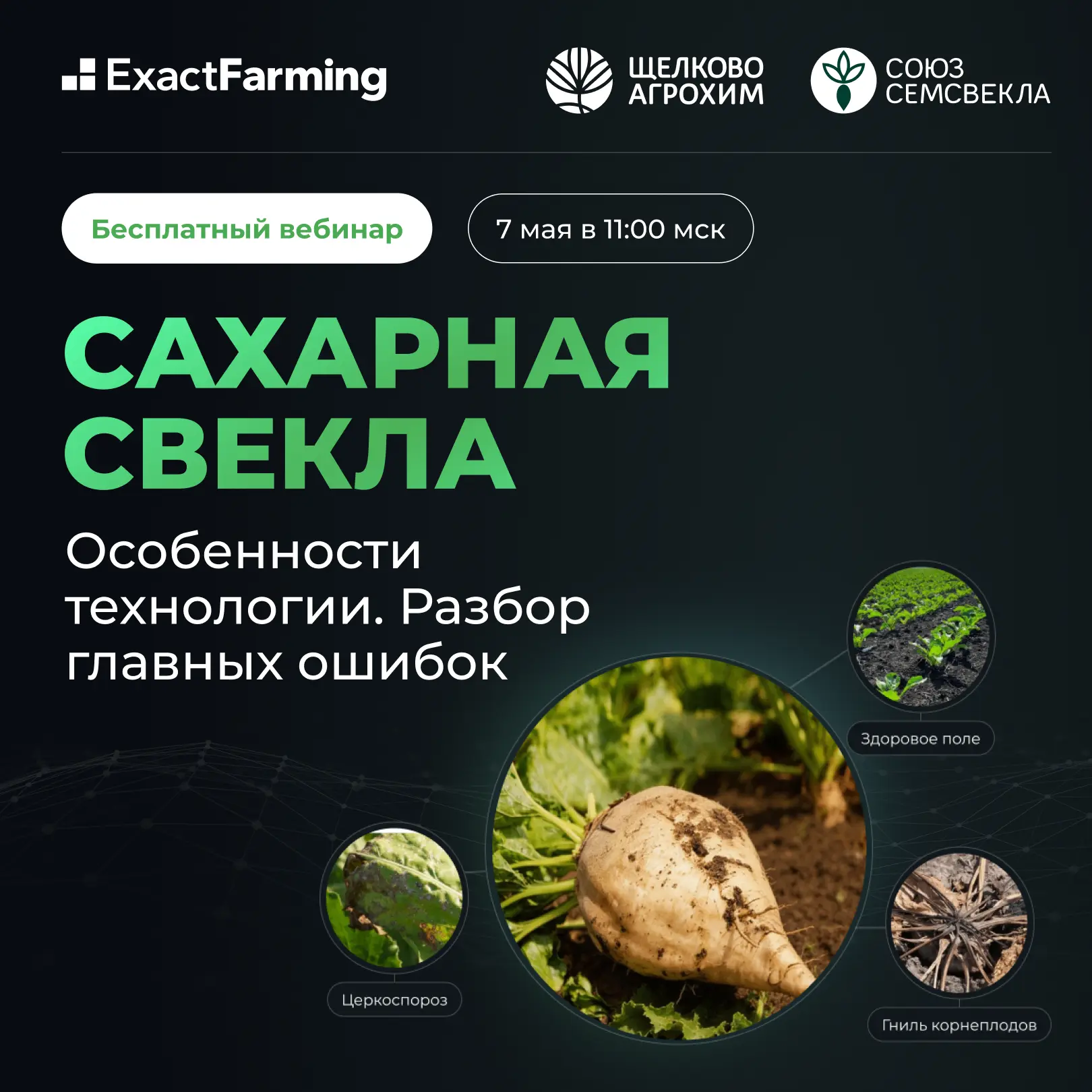 7 мая в 11:00 последний вебинар «Сахарная свекла: особенности технологии. Разбор главны...