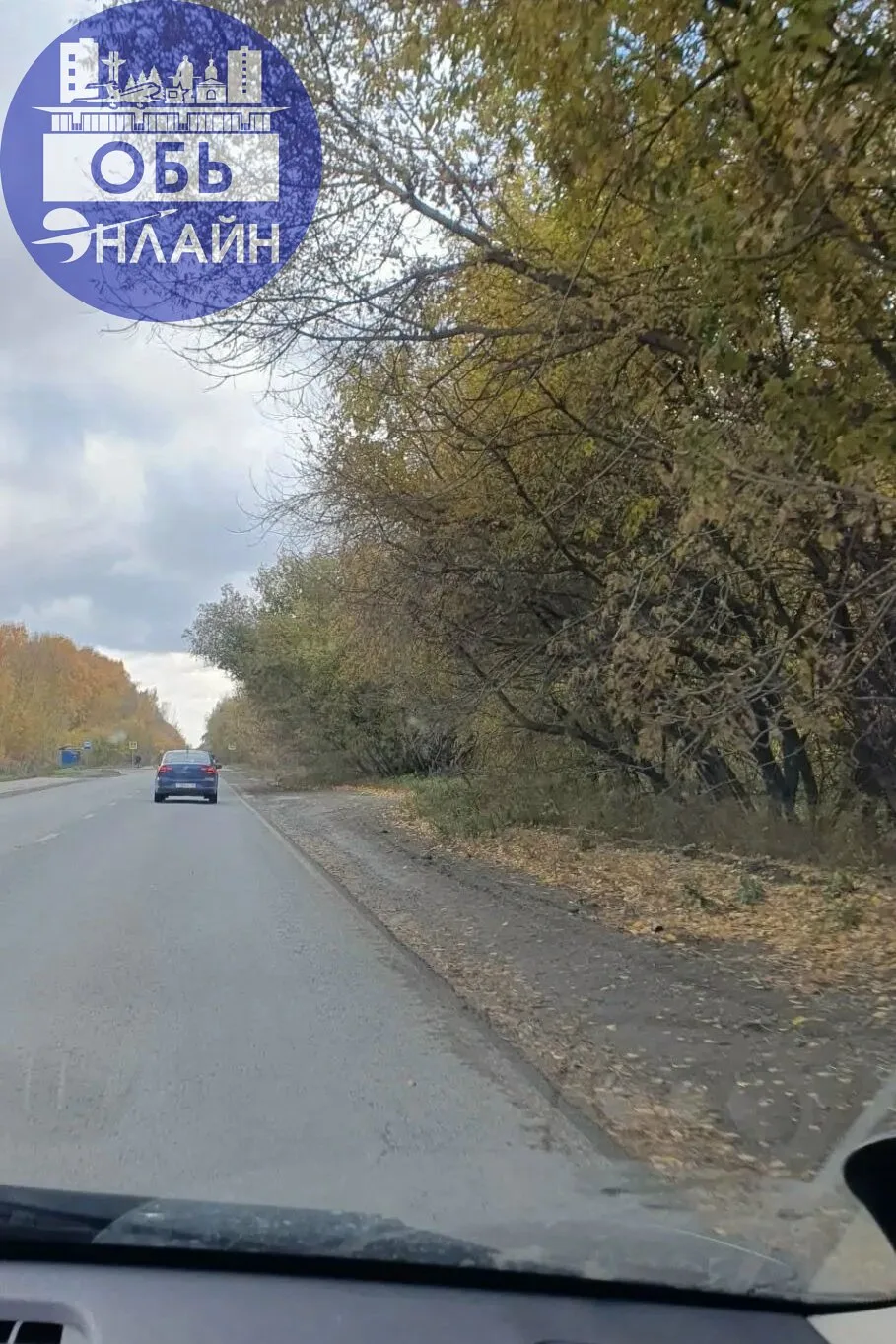 А не пора ли подстрич нависающие деревья на толмачевском шоссе.Под тяжестью будущего зи...