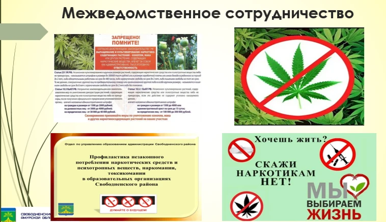 🛡️ Двойной удар по наркоугрозе: как Свободненский район защищает детей и очищает землю

Профилактик
