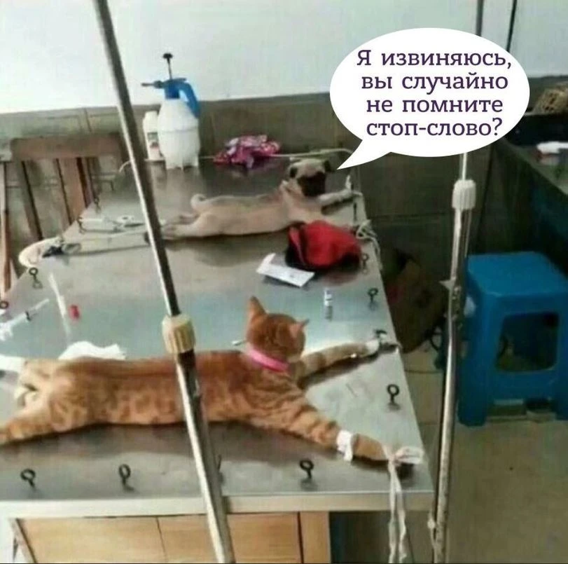 Жительницу Санкт-Петербурга, которая была приговорена к четырём годам лишения свободы з...