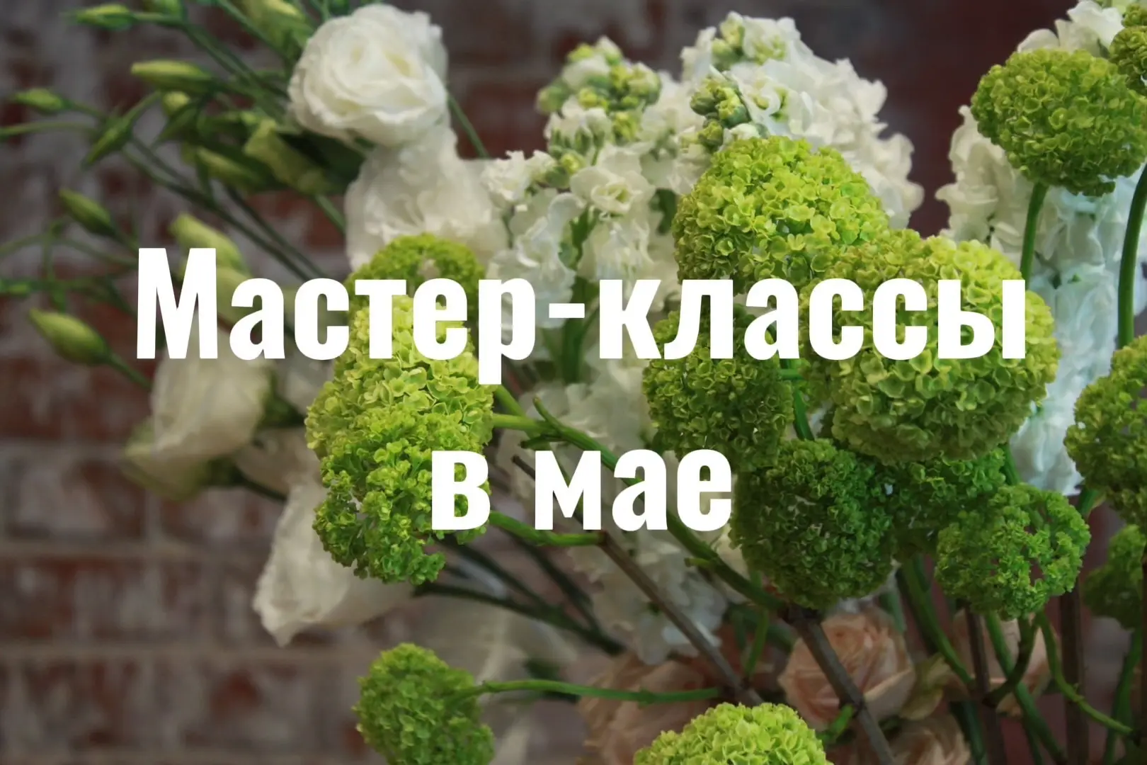 А что будет в мае? 🧚🏻‍♂️