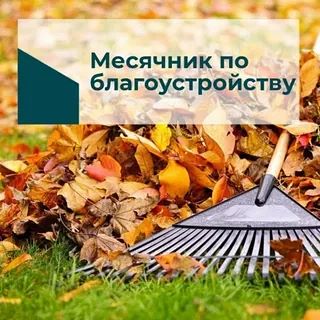 Уважаемые жители Васильевского поселения!