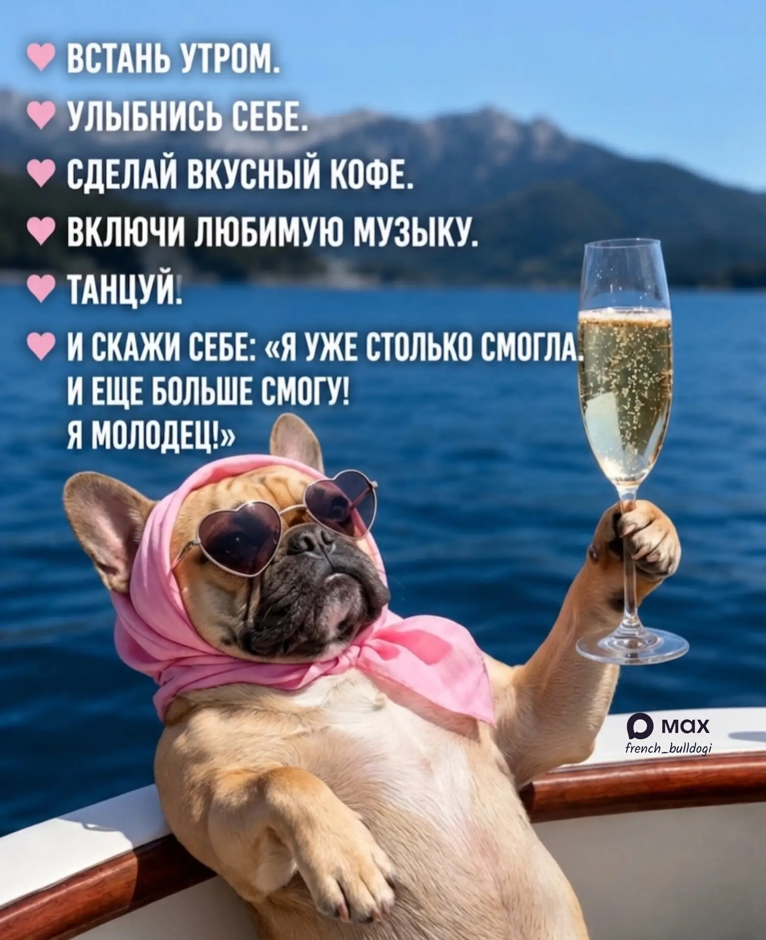 С Добрым утром! ☀️

🔥Французский бульдог в MAX