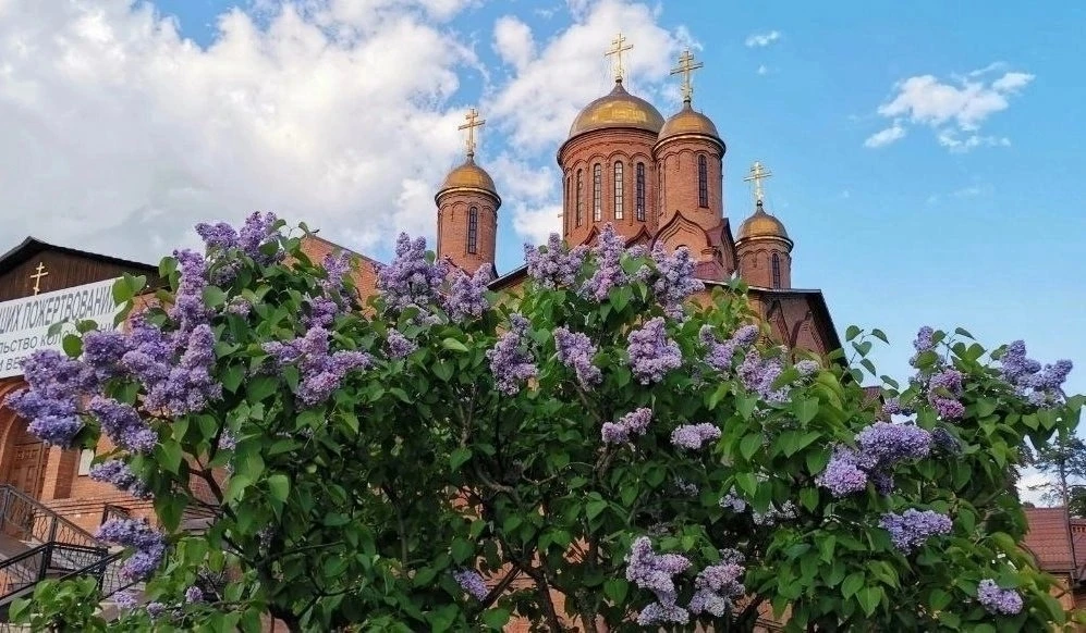 Сиреневый май  пос.Ильинский  НЕ ЗАБУДЬ ПОДПИСАТЬСЯ ⤵️