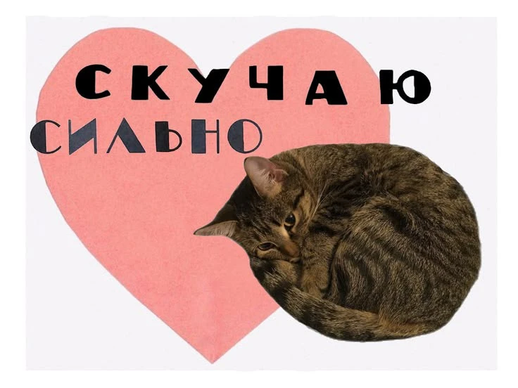 ПОЗДРАВЬ КРАСИВО 🥳