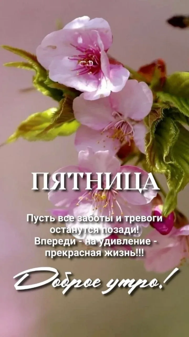 🥰 Ставьте реакции и делитесь открыткой с близкими ❤️

💌 Лучшие Открытки в MAX! 👉 Подписаться