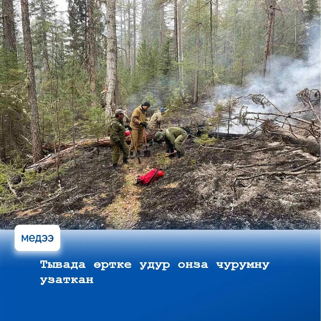 🔹 Агаар-бойдус изип, арга-арыг өрттериниң айыылы улгатканындан, Тыва Республиканың Чазааның доктаал