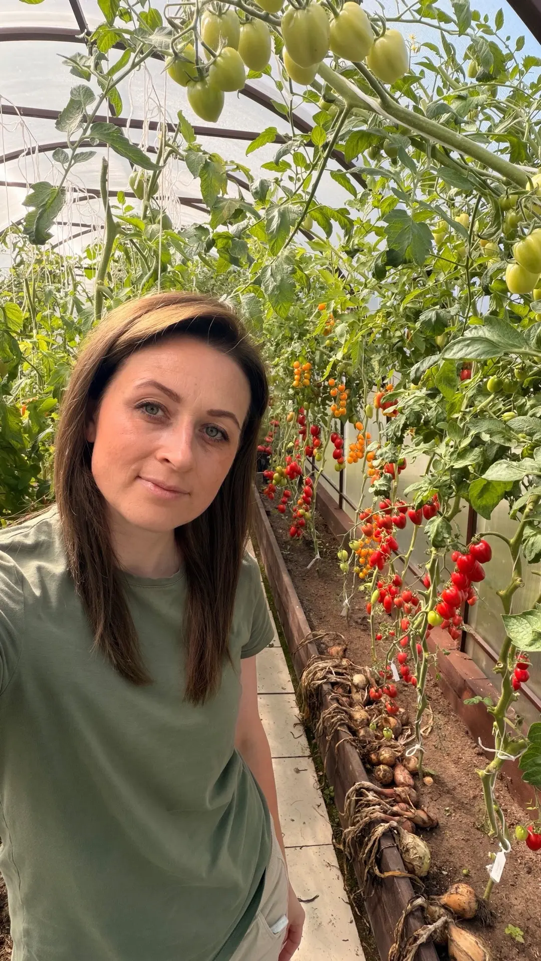 Чем обеззараживать почву после такого дождливого лета, богатого на болезни?