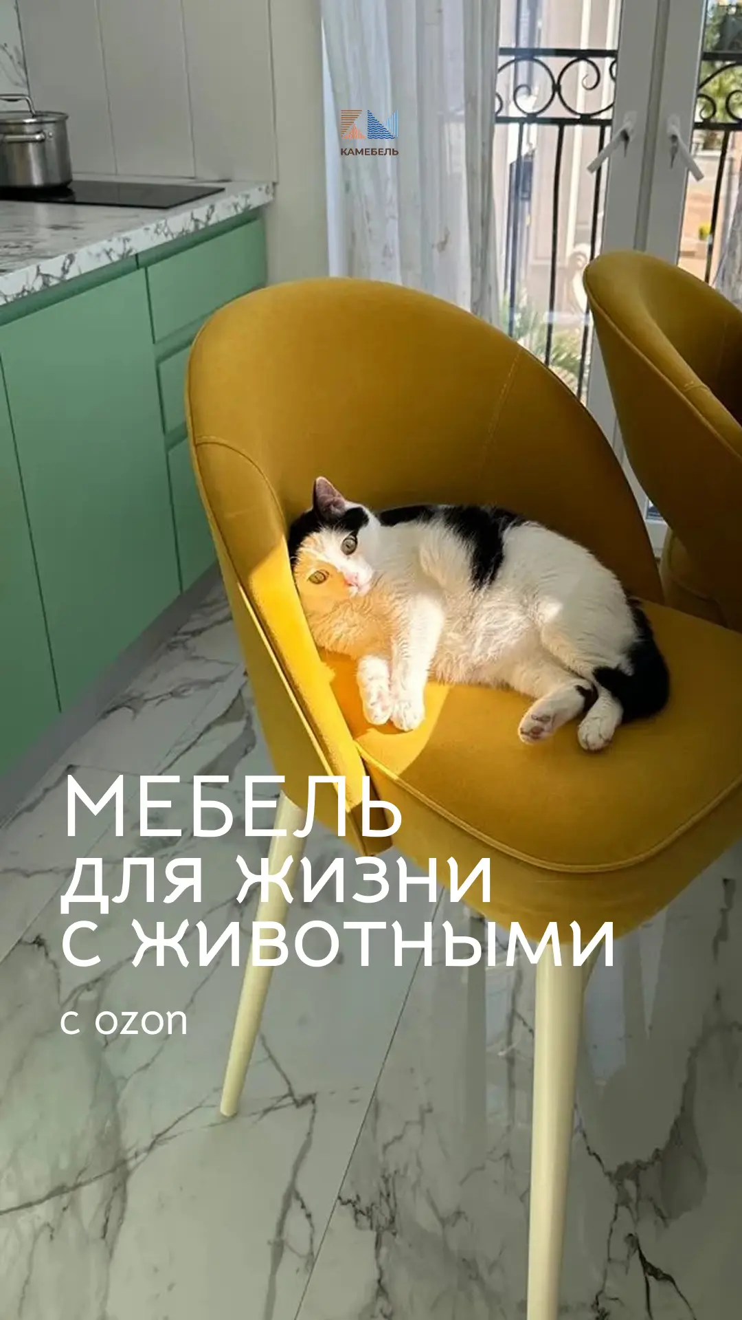 Подборка мебели для жизни с животными 🐾🤍