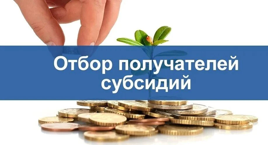 🔥Конкурс по предоставлению субсидии!🔥