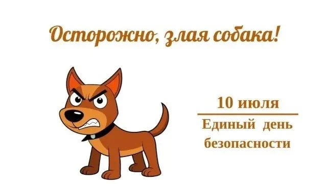🦮 «Осторожно - злая собака!»🐕‍🦺.