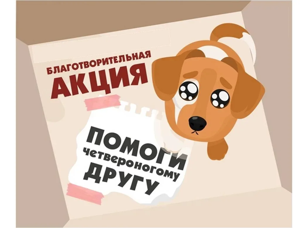 Внимание с 27 апреля по 5 мая объявляется Акция "Четвероногие друзья" для приюта Доброе сердце.  ❤️👉