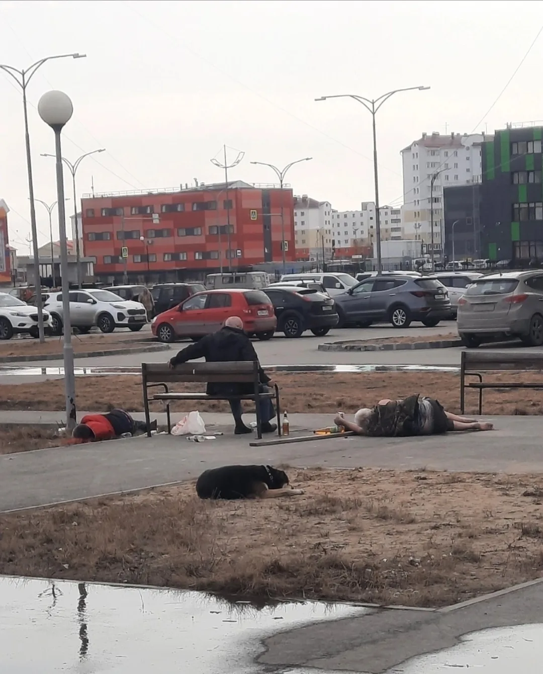 Ну вот и всё , проводили тёплые деньки .