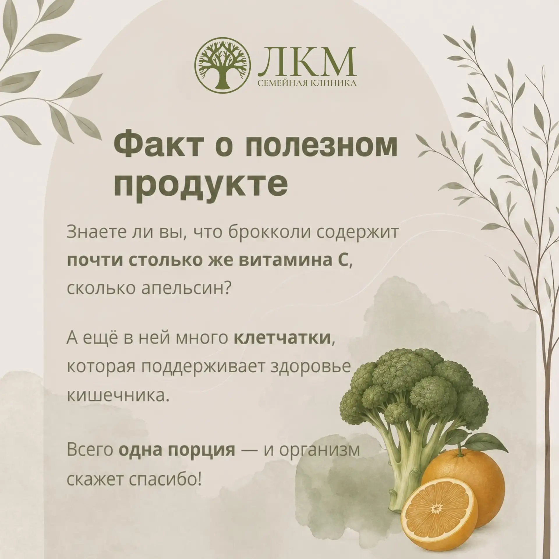#полезныефакты