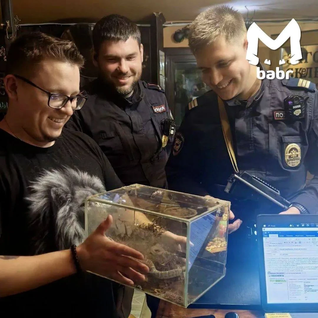 В Иркутске на капоте машины нашли ядовитую змею