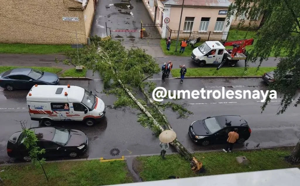 Упавшее дерево перекрыло улицу Капитана Воронина

"На Воронина (где шлагбаум к "Евразии")", - пишет 