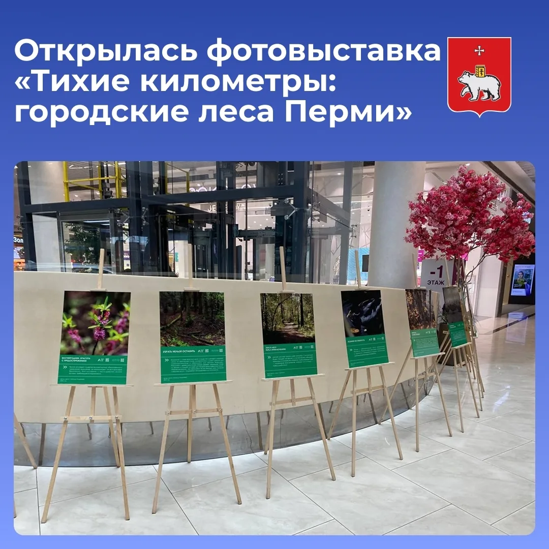 Новая выставка «Тихие километры: городские леса Перми» уже открылась

Фотографы собрали самые красив
