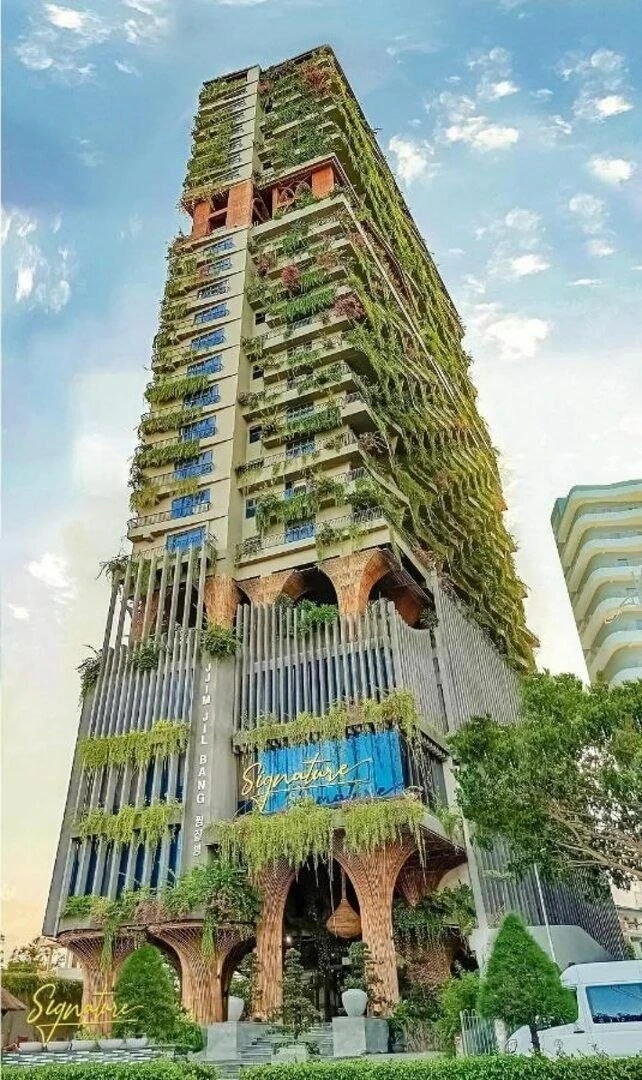 WOW 😍 Вьетнам за новыми впечатлениями 🇻🇳