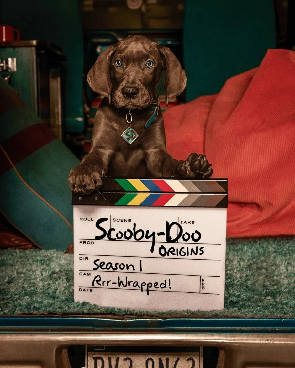 Netflix объявил о завершении съемок сериала «Scooby-Doo: Origins» 🔍