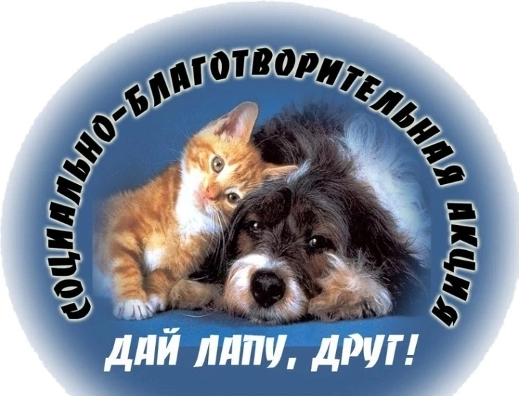 Дорогие ребята и уважаемые родители!