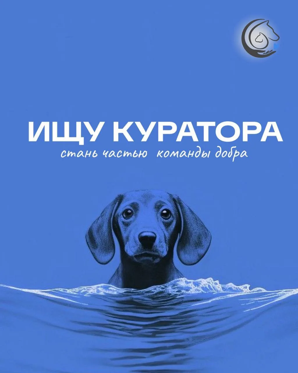 Ищем кураторов для жителей приюта 🙏🏻❤️‍🩹