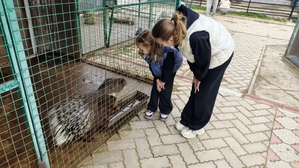 Активные выходные! Эти выходные учащиеся 1а класса София П. и 5а класса Алиса П. решили вместе с род