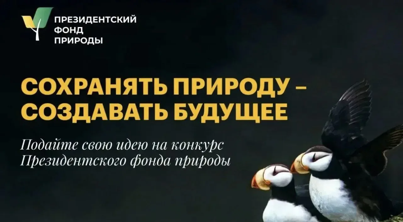Саратовцев приглашают принять участие в конкурсе экологических и природоохранных проектов