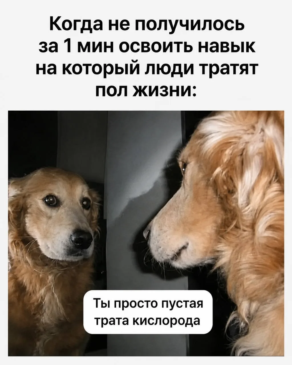 Узнали себя? 😄

#приколы #юмор #смешно