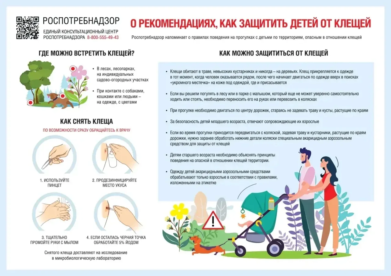 Памятка "Как защитить детей от клещей"