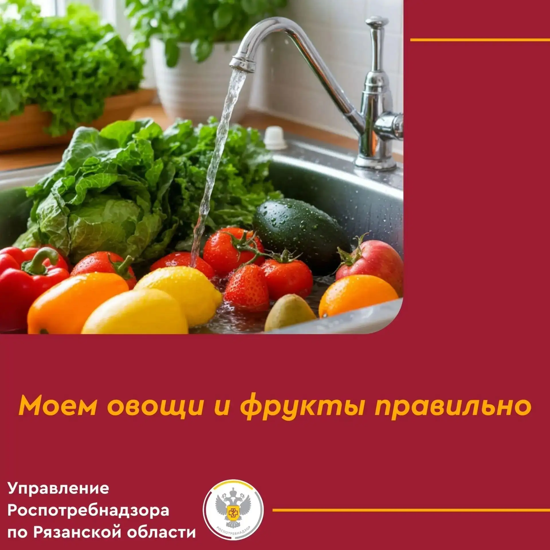 Лето и начало осени — время активного созревания овощей, фруктов и ягод. Чтобы сезонные...