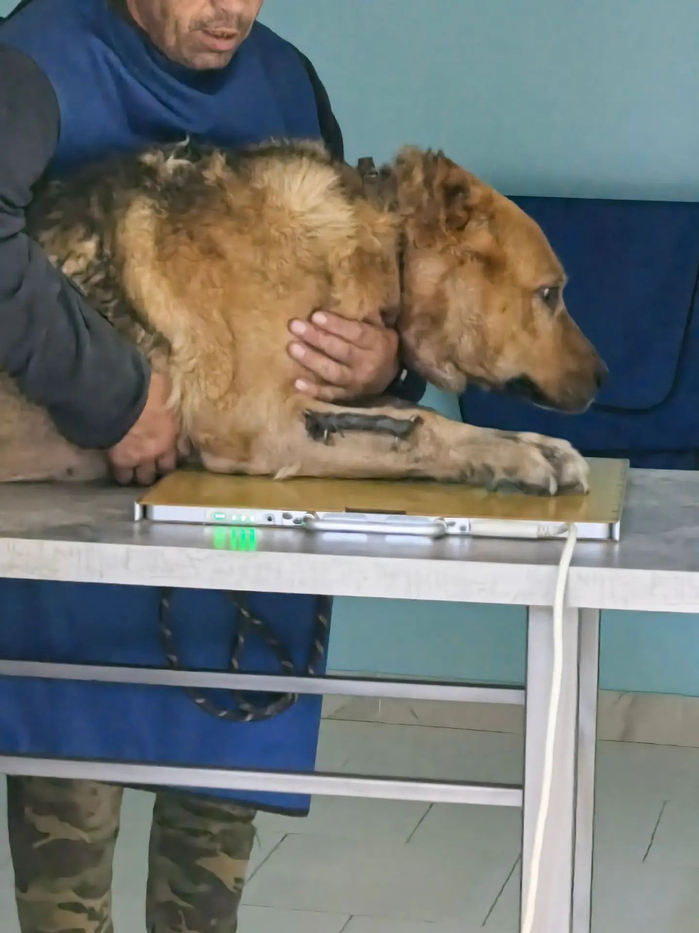 С Михелем ездили на приём, сделали рентген и сняли швы.